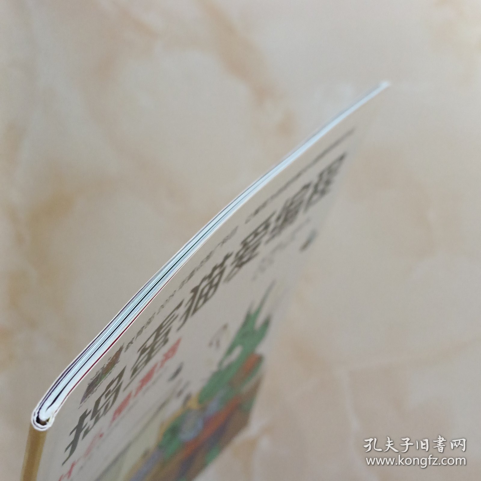 点击查看原图 捣蛋猫爱编程-什么是漏洞