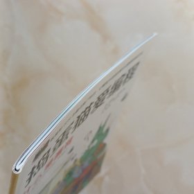 捣蛋猫爱编程-什么是漏洞