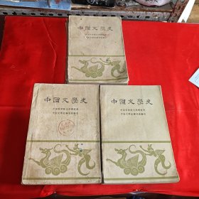中国文学史1～3 1962年