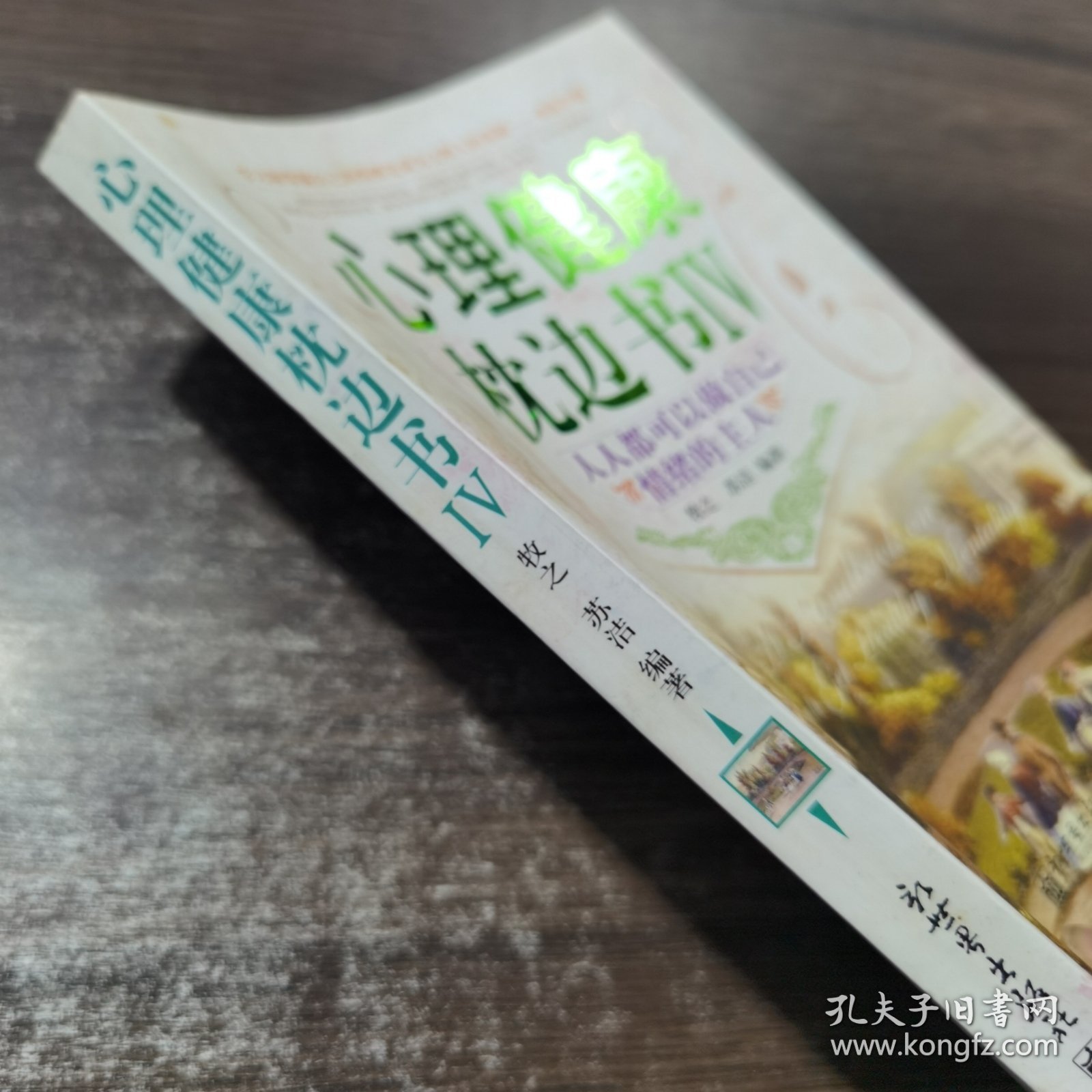 心理健康枕边书6：人人都可做自己情绪的主人