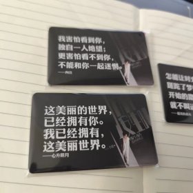 李健演唱会周边纪念文字创意专辑歌词30枚，背面空白区域可书写文字