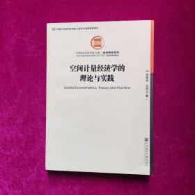 空间计量经济学的理论与实践 李新忠、汪同三 著 社会科学文献出版社