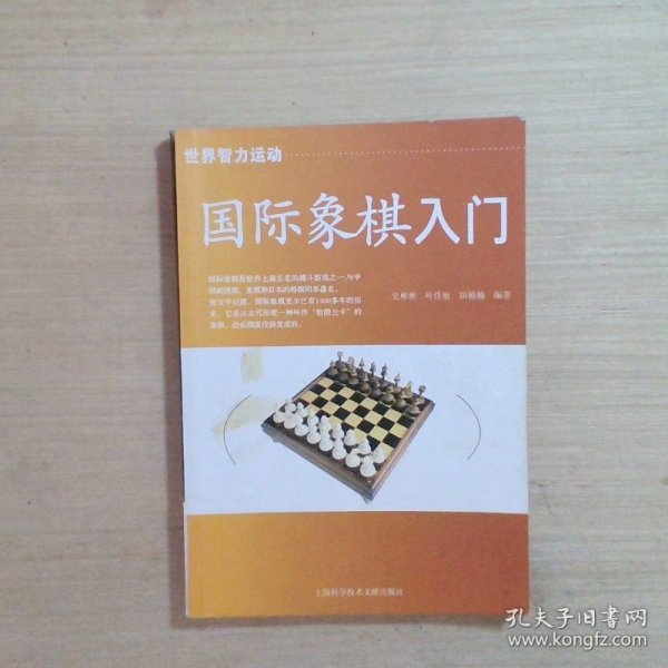 国际象棋入门