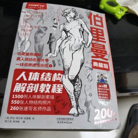 伯里曼人体结构解剖教程 典藏版