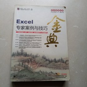 Excel专家案例与技巧金典