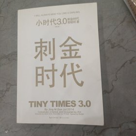 小时代3.0刺金时代（修订本）