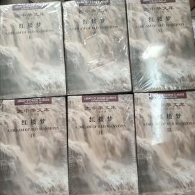 红楼梦（全6卷）：A Dream of Red Mansions