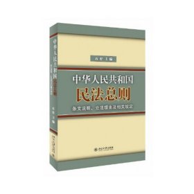 中华人民共和国民法总则条文说明立法理由及相关规定