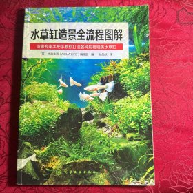 水草缸造景全流程图解