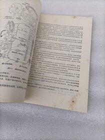 新医正骨讲义 修改稿