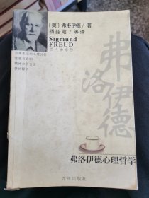 弗洛伊德心理哲学 （四层3格）