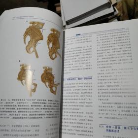 个体化髋关节和膝关节置换术（无书衣内容全新）