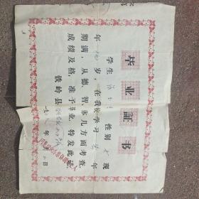 1978年毕业证书