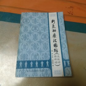 新气功疗法图解（高级功 特种功）