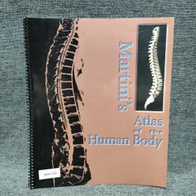 Martini's  Atlas  of  the  human  body