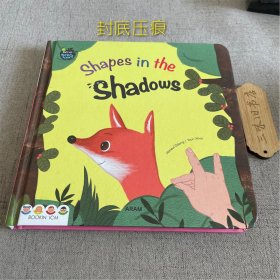 Shapes in the Shadows 英文（封底压痕）2008