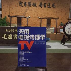 實用電視傳播學