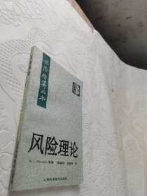 保险精算丛书 风险理论