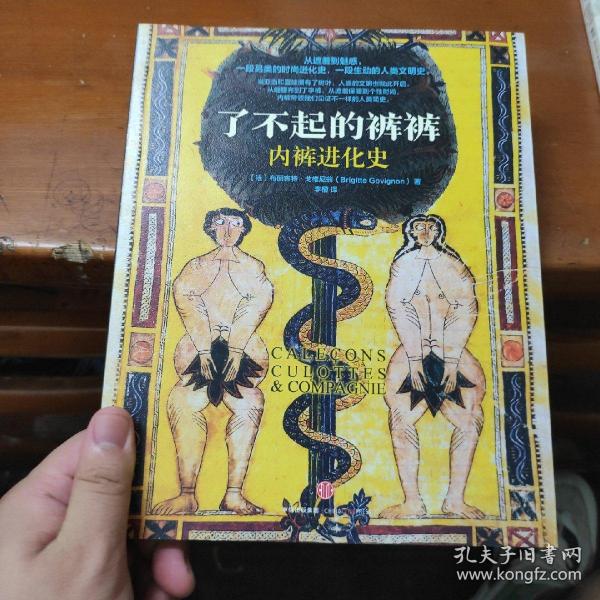 了不起的裤裤：内裤进化史