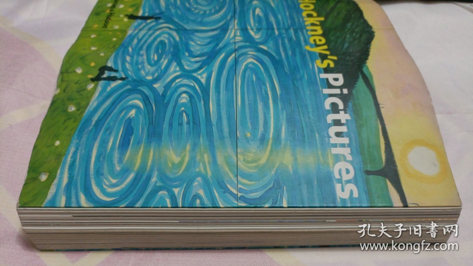 Hockney's Pictures（145—176页书脊有脱胶。请谨慎下单，售后不退，请勿议价，非诚勿扰。）塑柜四层