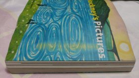 Hockney's Pictures(145—176页书脊有脱胶。请谨慎下单,售后不退,请勿议价,非诚勿扰。)塑柜四层