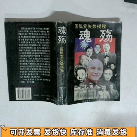 魂殇 国民党失势揭秘