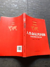 人类命运共同体：全球治理的中国方案