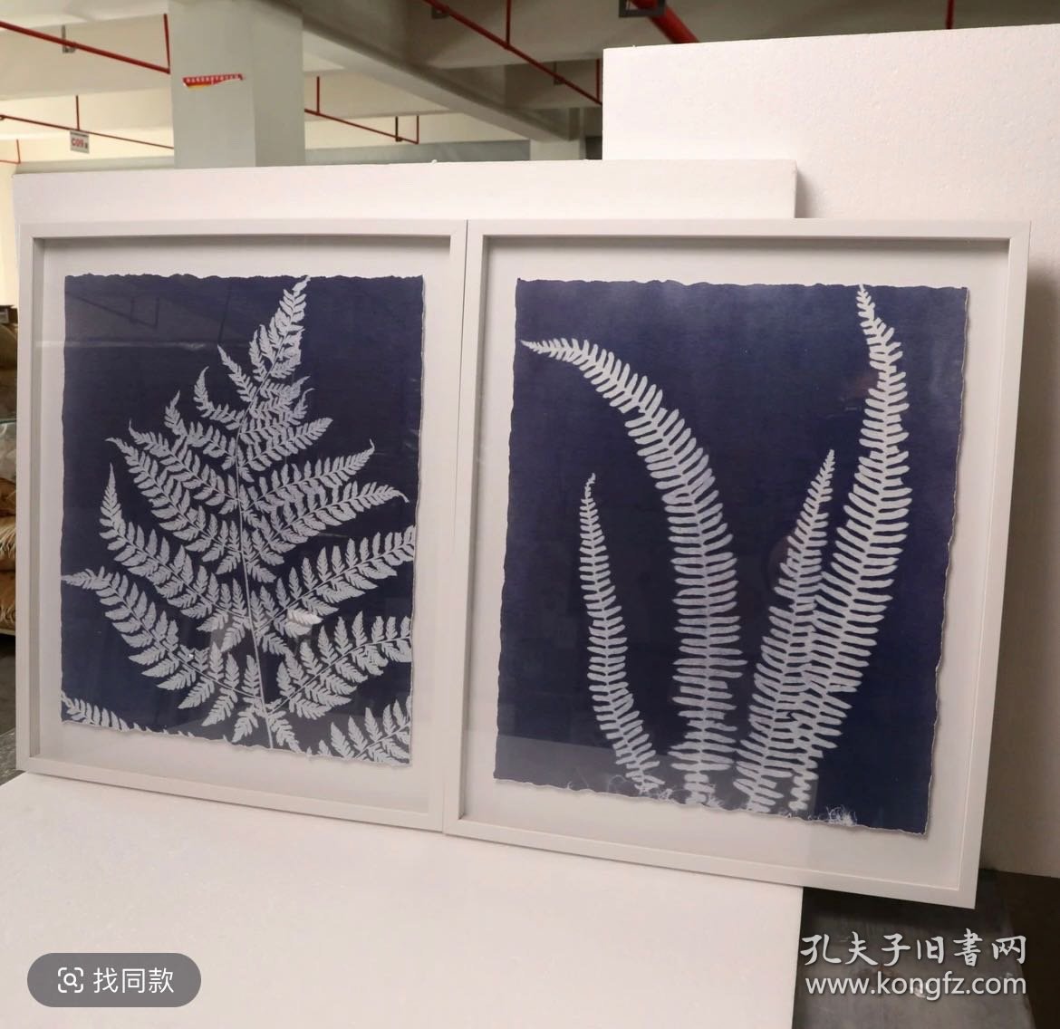 20250114J05 蕨类植物2联装饰画 外框尺寸：52*61 厘米 出口品质 带玻璃