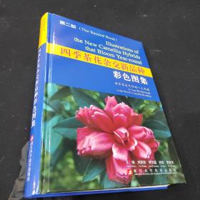 四季茶花杂交新品种 彩色图集 第二部