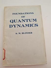 Foundations of Quantum Dynamics 量子动力学基础 英文版