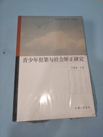 青少年犯罪与社会矫正研究/犯罪社会论坛（第四辑）