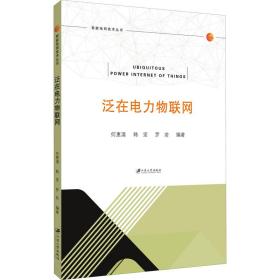 泛在电力物联网/智能电网技术丛书