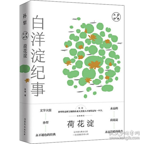 荷花淀/大家经典系列作品