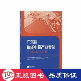 广东省集成电路产业专利分析与对策 管理理论 作者 新华正版