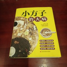 小方子治大病 中医书籍养生偏方大全民间老偏方美容养颜常见病防治 保健食疗偏方秘方大全小偏方老偏方中医健康养生保健疗法