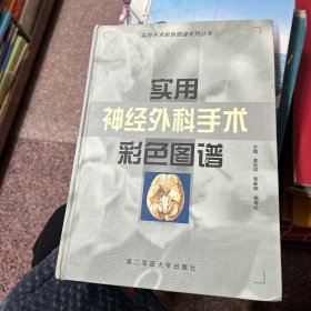 实用神经外科手术彩色图谱——实用手术彩色图谱系列丛书