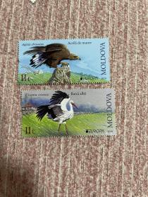 欧罗巴邮票 2019 鸟 摩尔多瓦