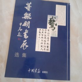 董毓明书展选集（八品，请看图，角有些开胶）