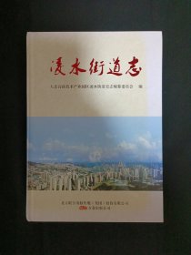 凌水街道志
