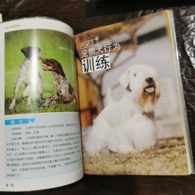 宠物犬训练百科