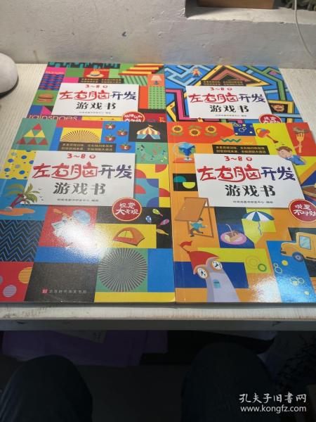 左右脑开发游戏书 （套装4册）100多幅奇趣情景，900多个场景细节，近300个玩出花样的益智游戏，开启3~8岁孩子多元化思维模式