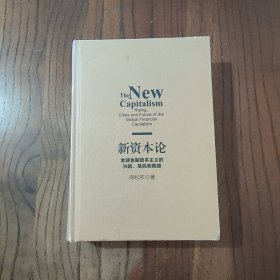 新资本论 (精装本) [无书衣] 中信出版社 向松祚 著 9787508649085