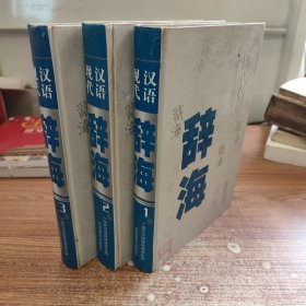 现代汉语辞海（全三卷）（精装）新的没用过