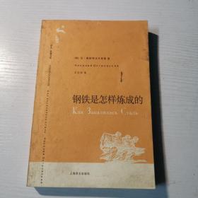 钢铁是怎样炼成的（译文名著文库037）