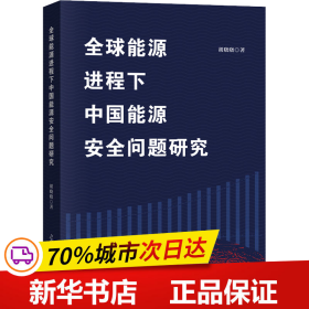 全球能源进程下中国能源安全问题研究