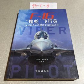 F-16“蝰蛇”飞行员 : 震撼人心的现代空战回忆录