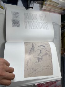 现货 英文版 Picasso: The Ludwig Collection : Paintings, Drawings, Sculptures, Ceramics, Prints 德国印刷  海量图片