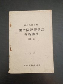 农村人民公社 生产队经济活动分析讲义（初稿）