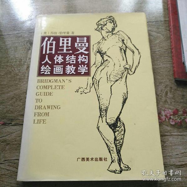 伯里曼人体结构绘画教学