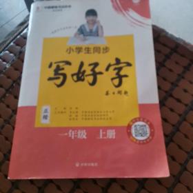 小学生同步写好字正楷字帖 一年级上册理想树2022版